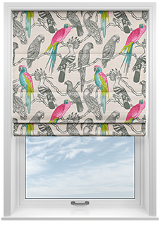 Aviary, Begonia - Roman Blind